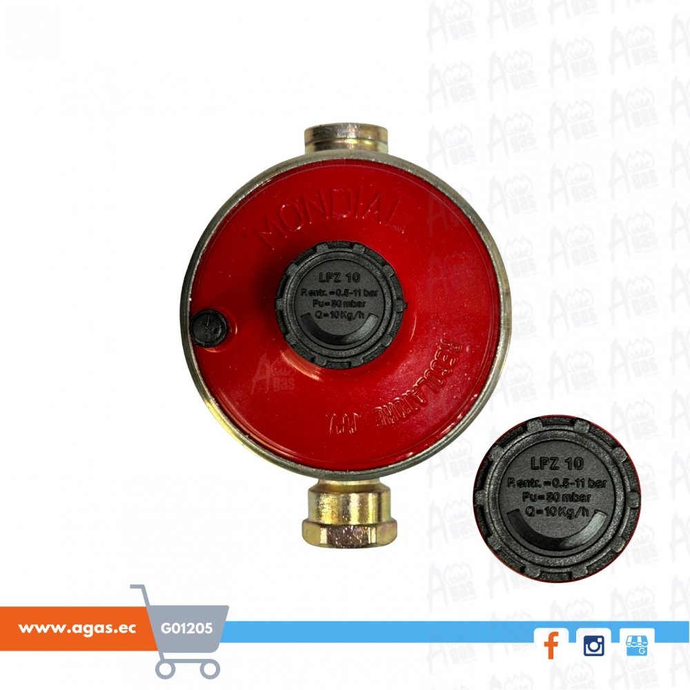 Regulador de baja presión 10Kg/h