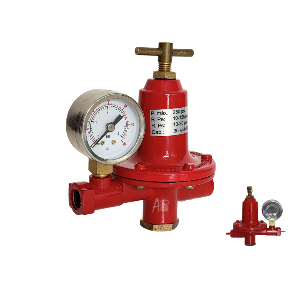 Regulador Primera Etapa 35kg/h +...